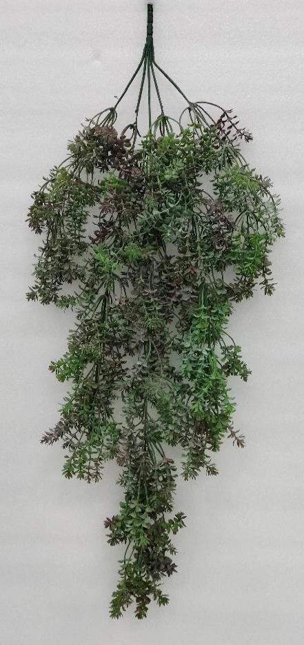 Soft Star Leaves Creeper